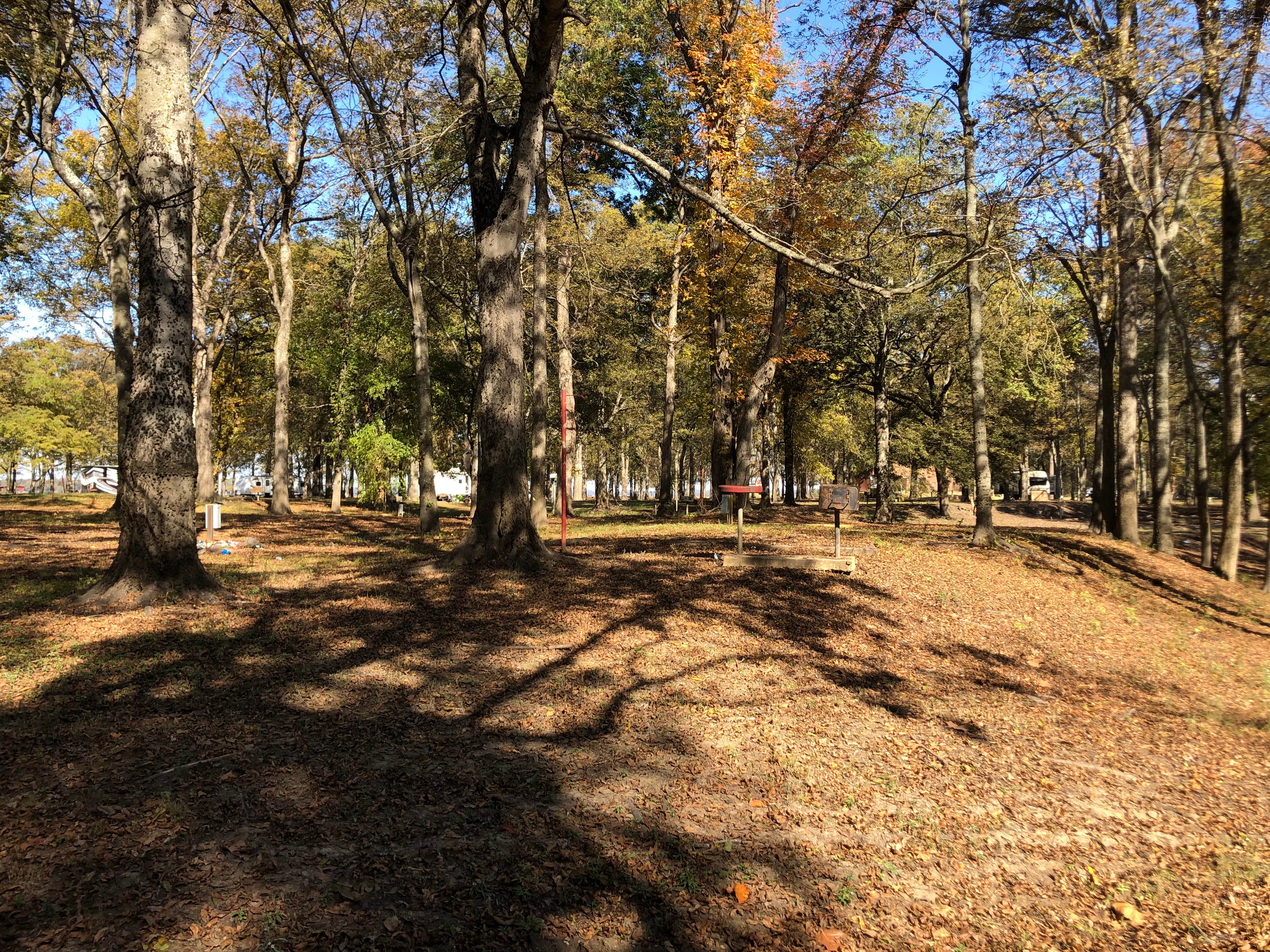 Camper-submitted photo at Warfield Point Park Washington County Park near Hollandale, MS