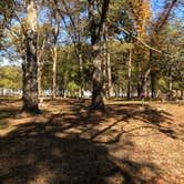 Review photo of Warfield Point Park Washington County Park by N I., November 19, 2021