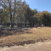 Review photo of Warfield Point Park Washington County Park by N I., November 19, 2021