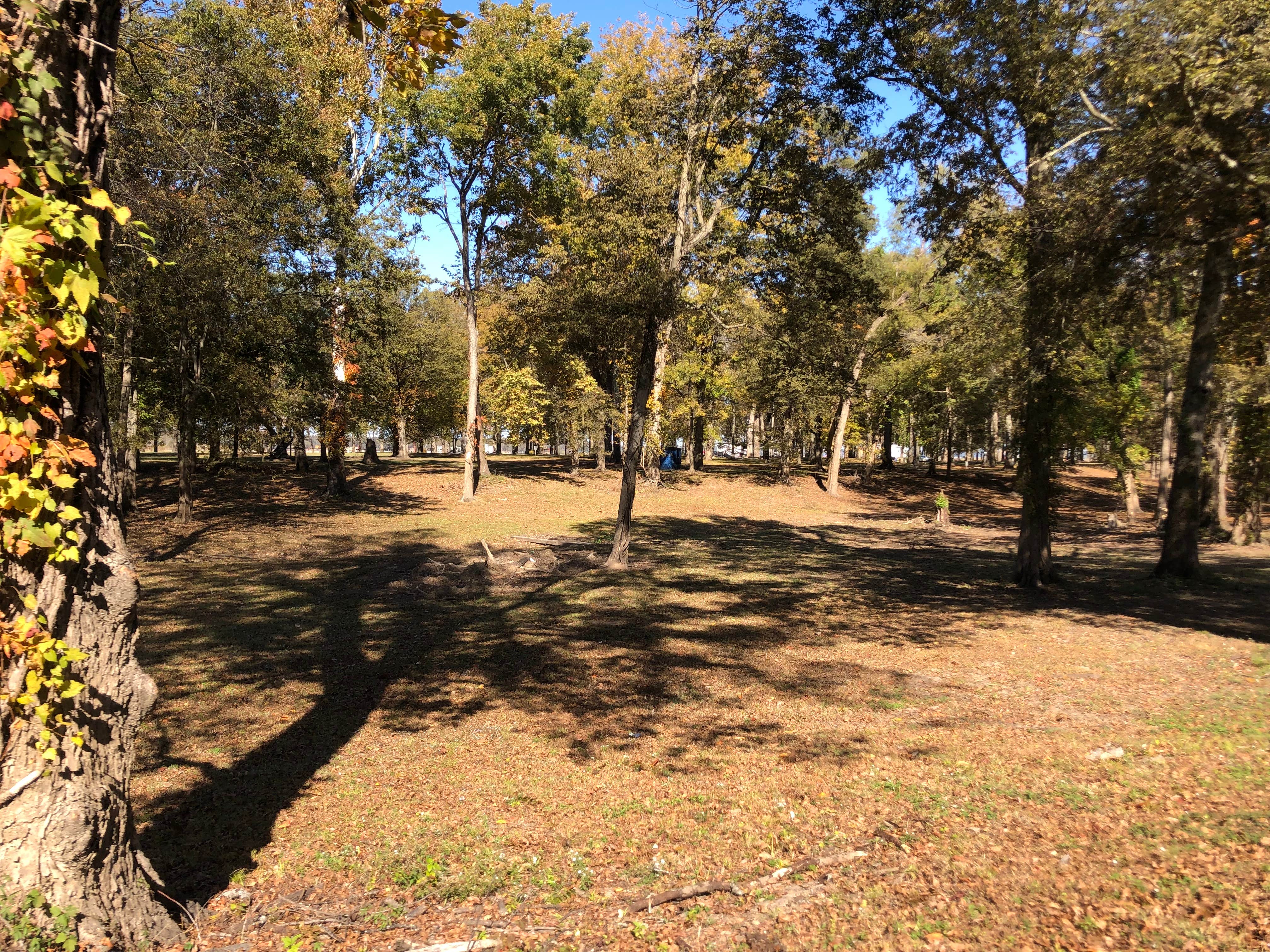 Camper-submitted photo at Warfield Point Park Washington County Park near Hollandale, MS