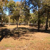 Review photo of Warfield Point Park Washington County Park by N I., November 19, 2021