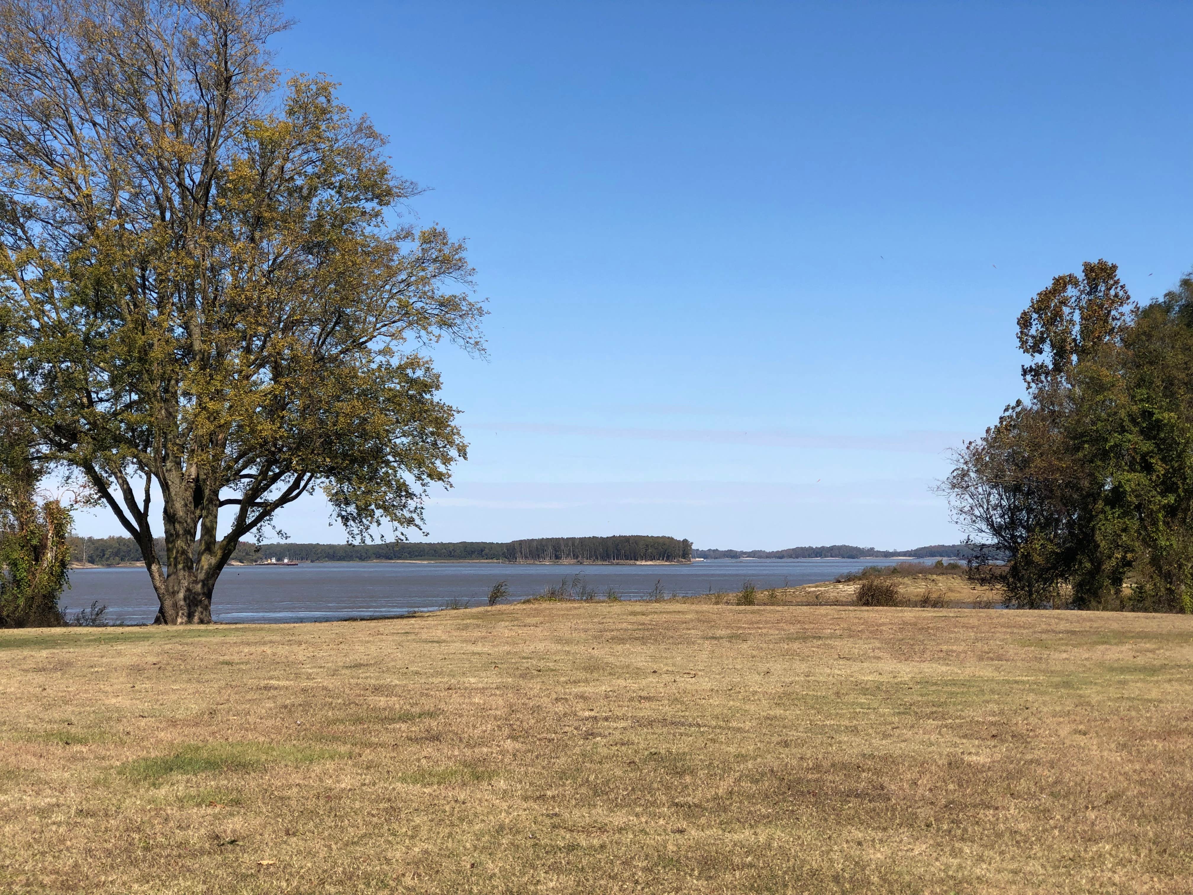 Camper-submitted photo at Warfield Point Park Washington County Park near Hollandale, MS