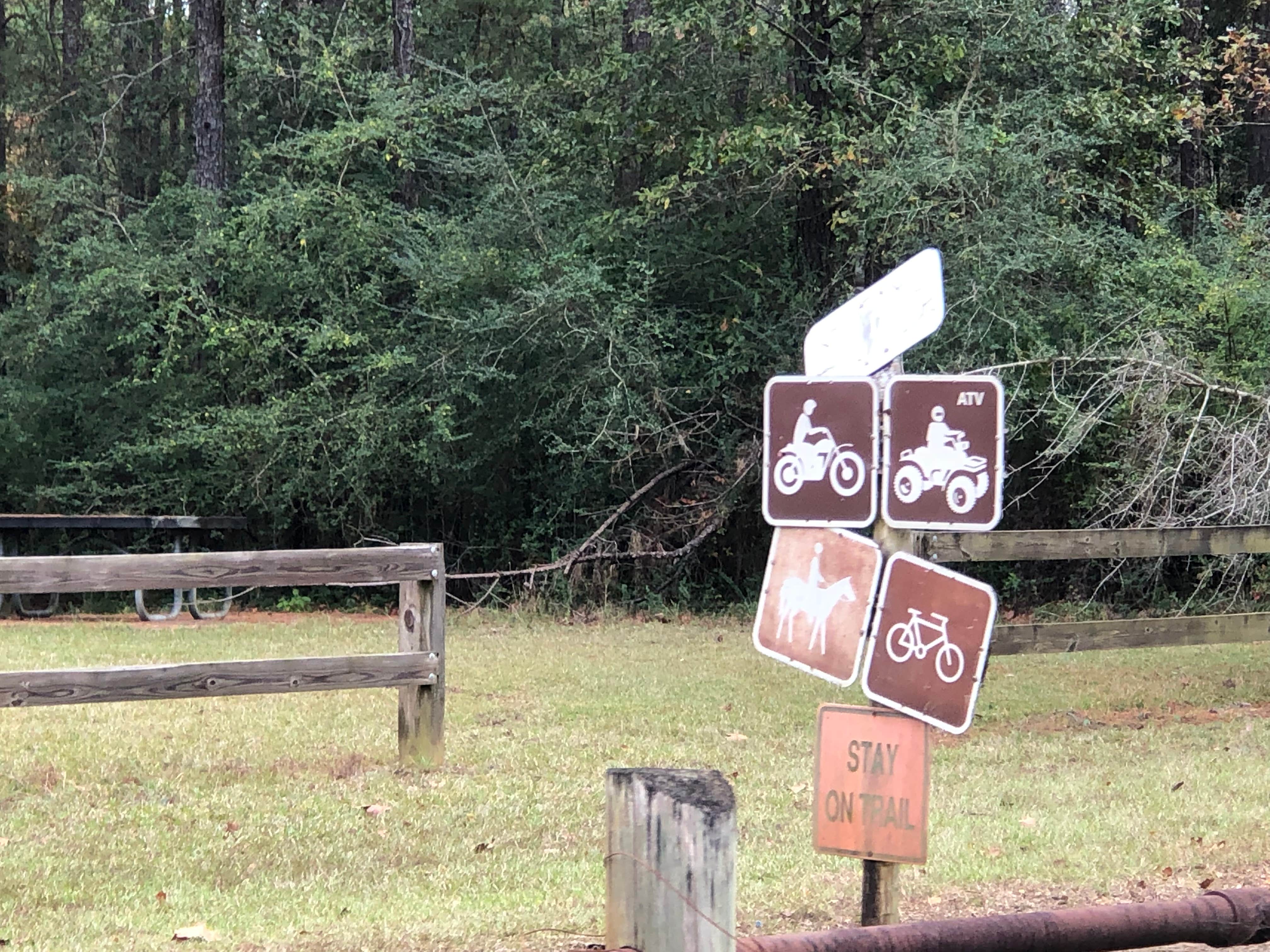 Camper submitted image from Kisatchie National Forest Boy Scout Camp - 5