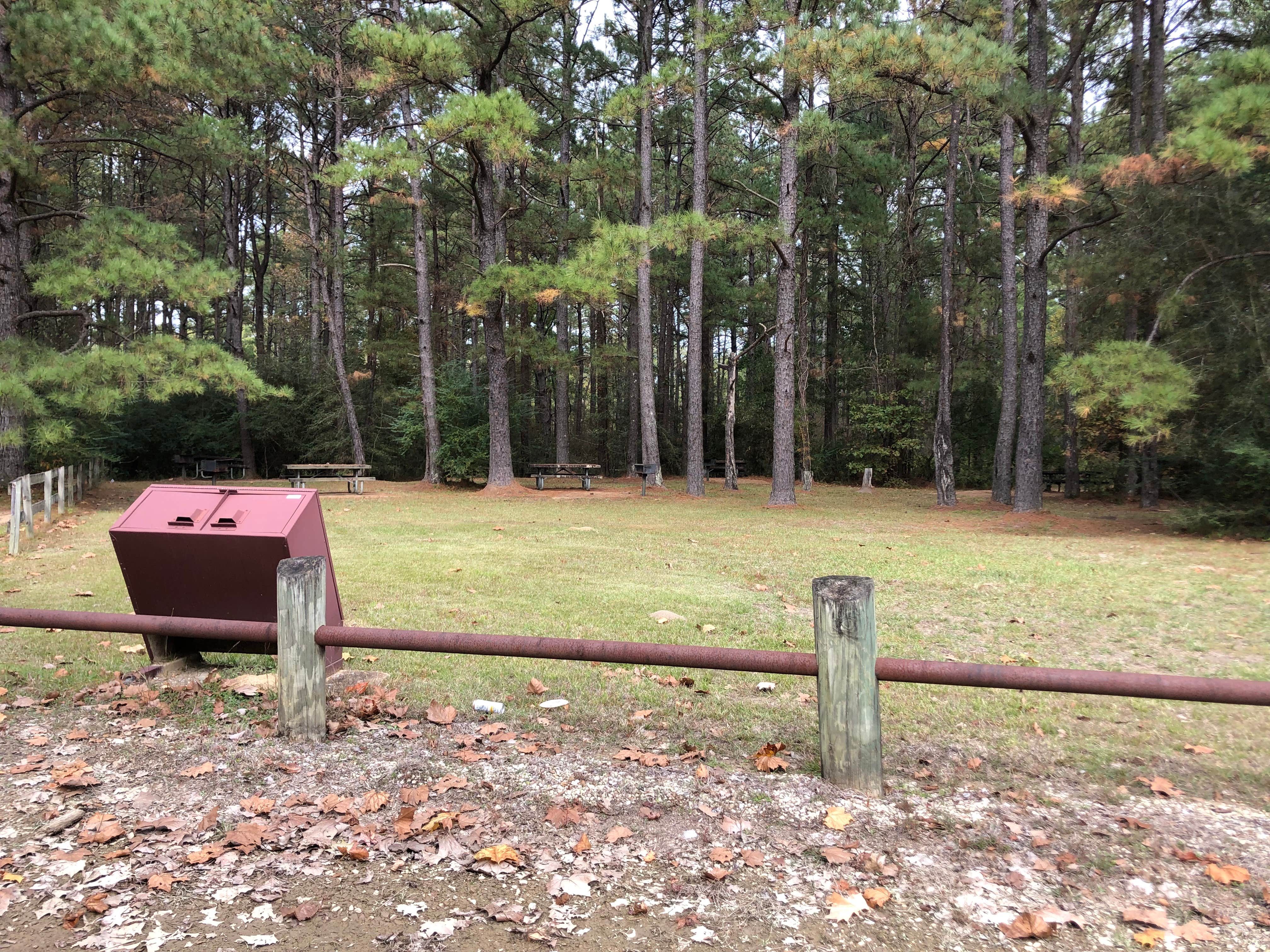 Camper submitted image from Kisatchie National Forest Boy Scout Camp - 2