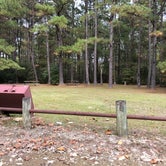 Review photo of Kisatchie National Forest Boy Scout Camp by N I., November 19, 2021