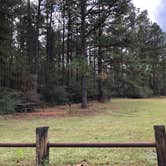 Review photo of Kisatchie National Forest Boy Scout Camp by N I., November 19, 2021