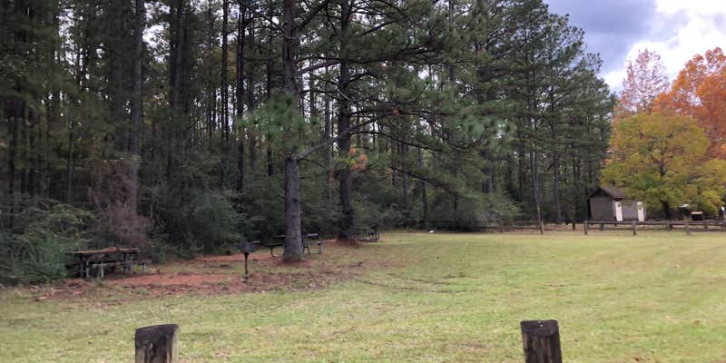 Camper submitted image from Kisatchie National Forest Boy Scout Camp
