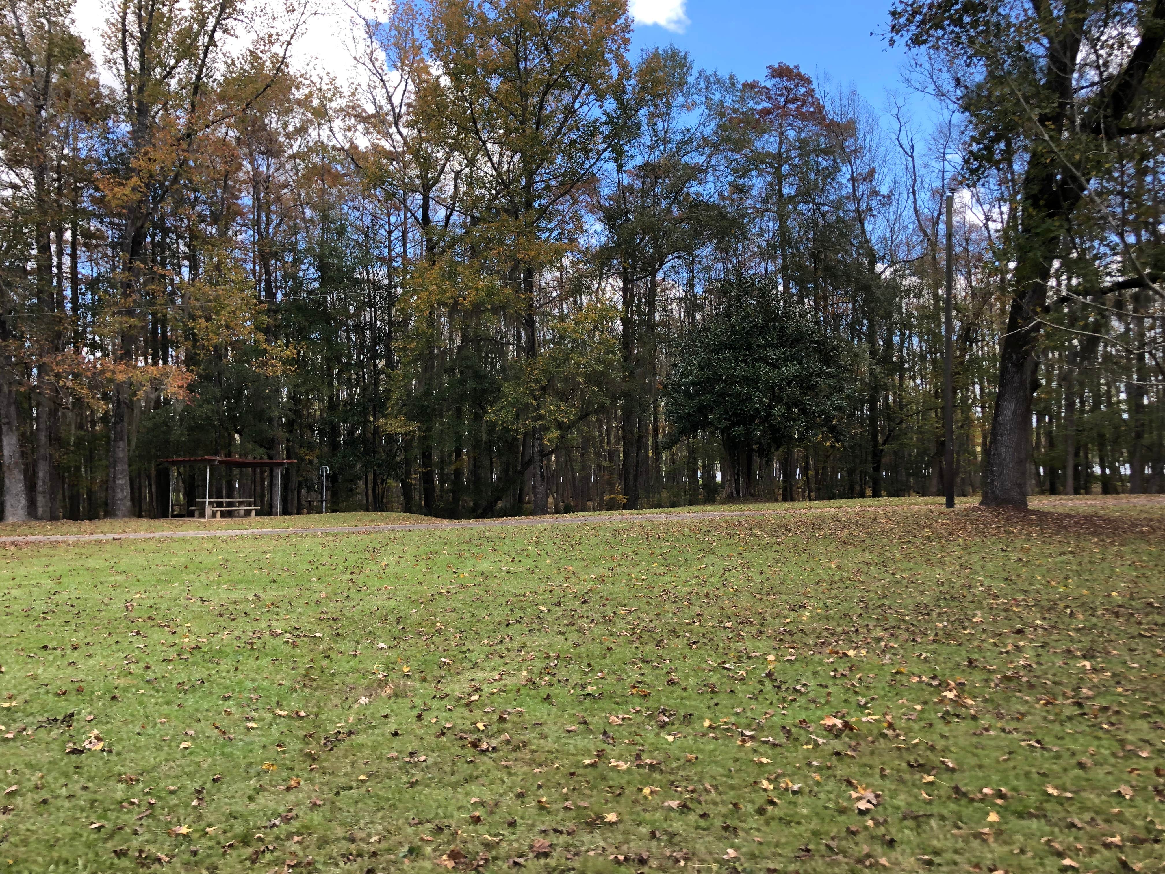 Camper-submitted photo at B.A. Steinhagen Lake Campground near Big Thicket National Preserve