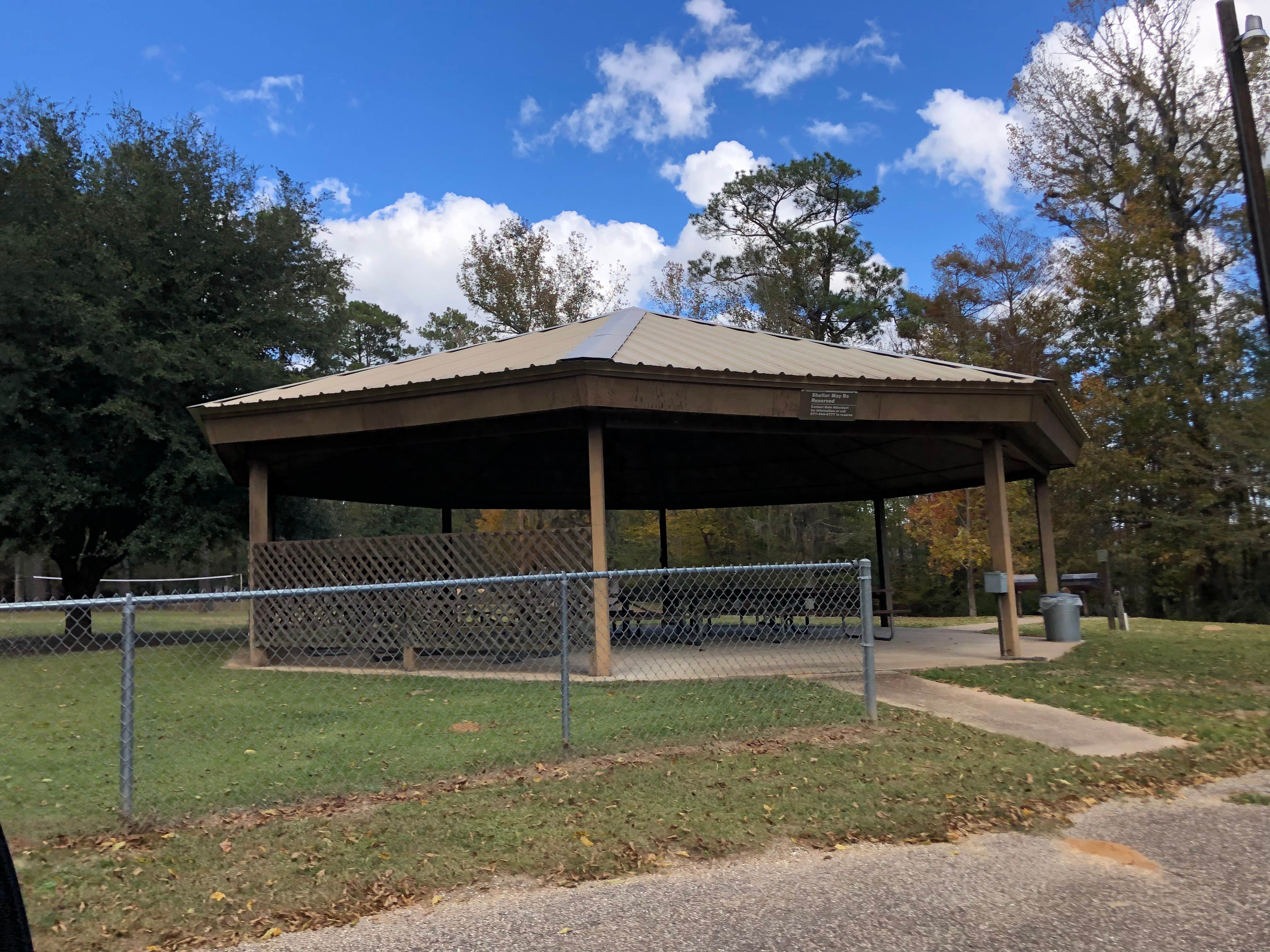 Camper submitted image from B.A. Steinhagen Lake Campground - 5