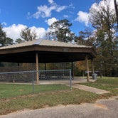 Review photo of B.A. Steinhagen Lake Campground by N I., November 19, 2021