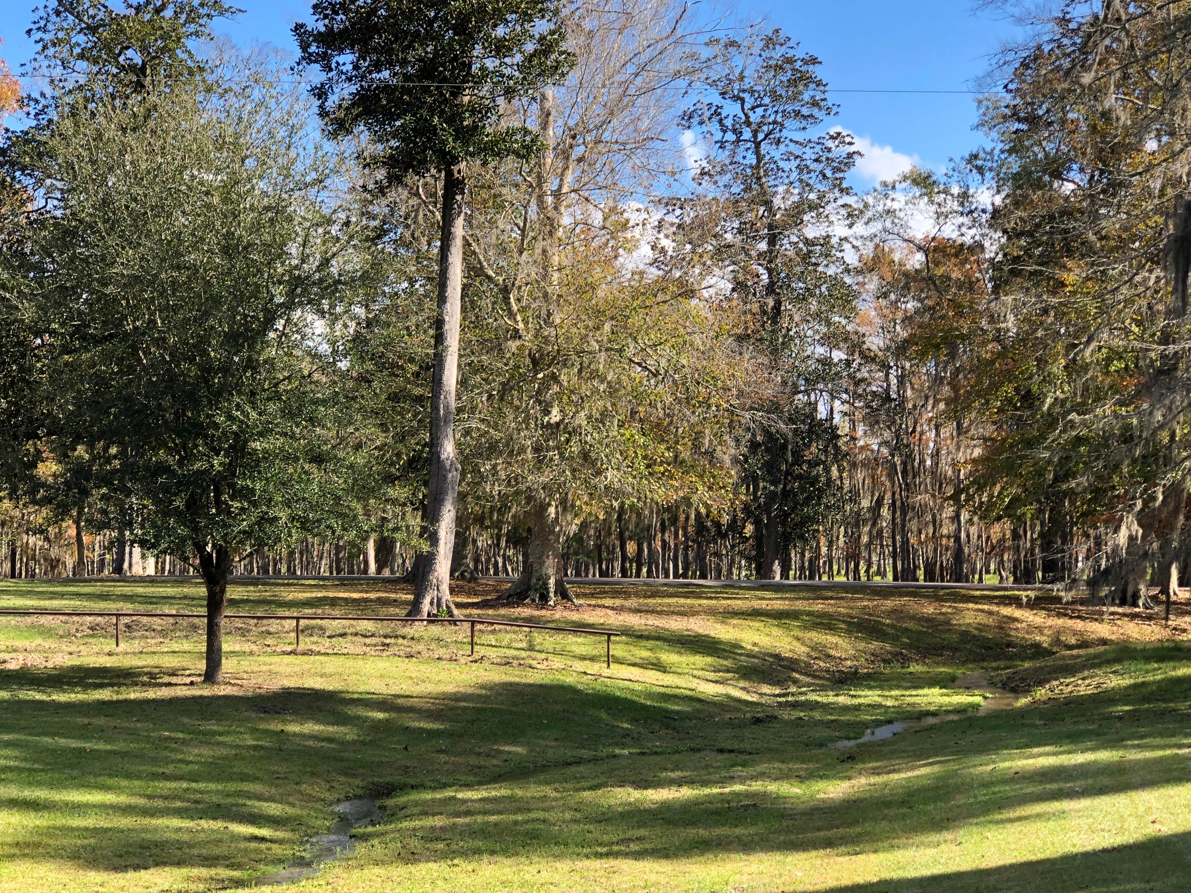 Camper-submitted photo at B.A. Steinhagen Lake Campground near Big Thicket National Preserve