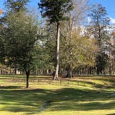 Review photo of B.A. Steinhagen Lake Campground by N I., November 19, 2021