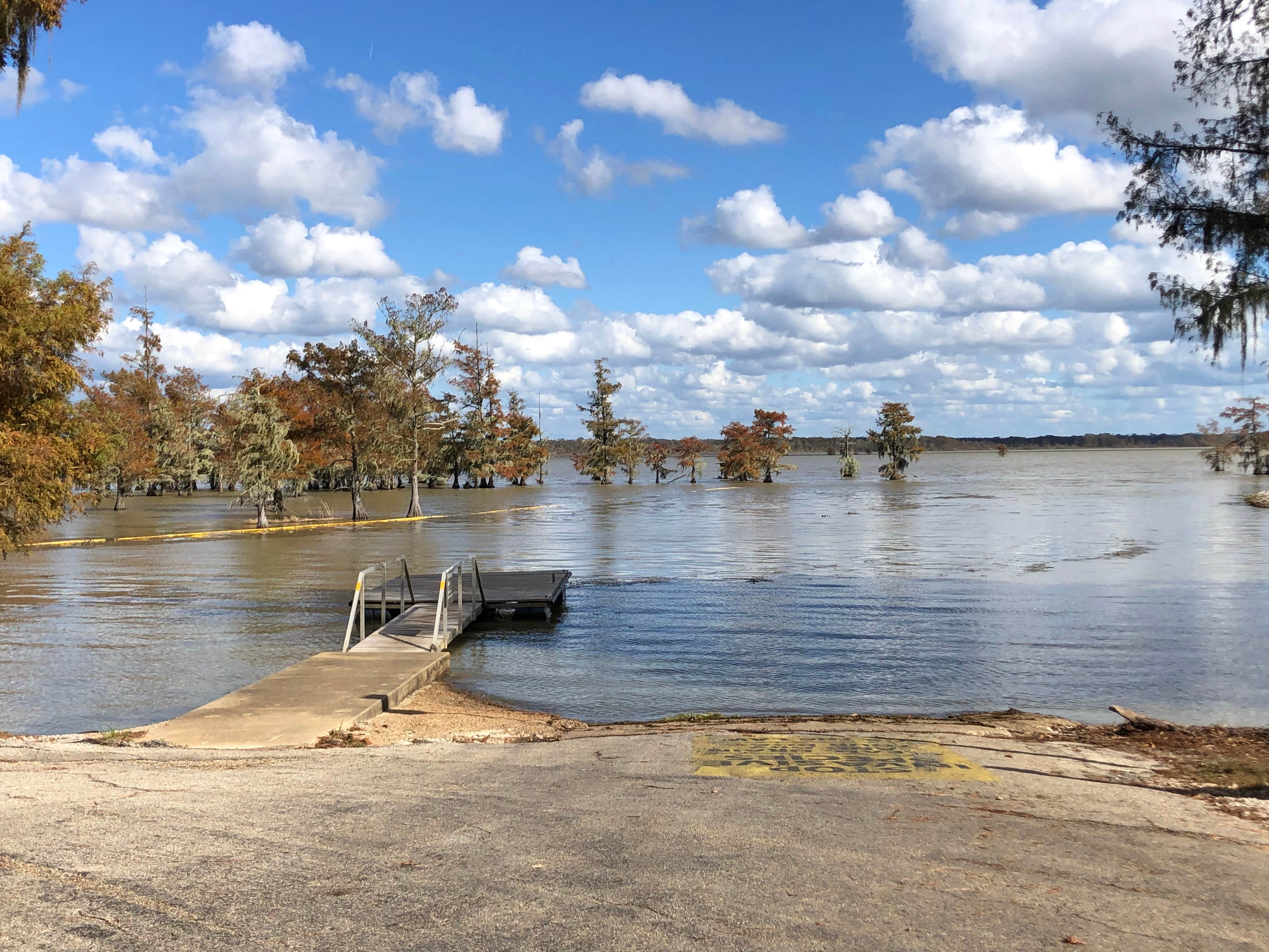 Camper submitted image from B.A. Steinhagen Lake Campground - 5