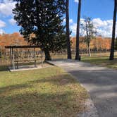 Review photo of B.A. Steinhagen Lake Campground by N I., November 19, 2021