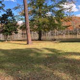 Review photo of B.A. Steinhagen Lake Campground by N I., November 19, 2021