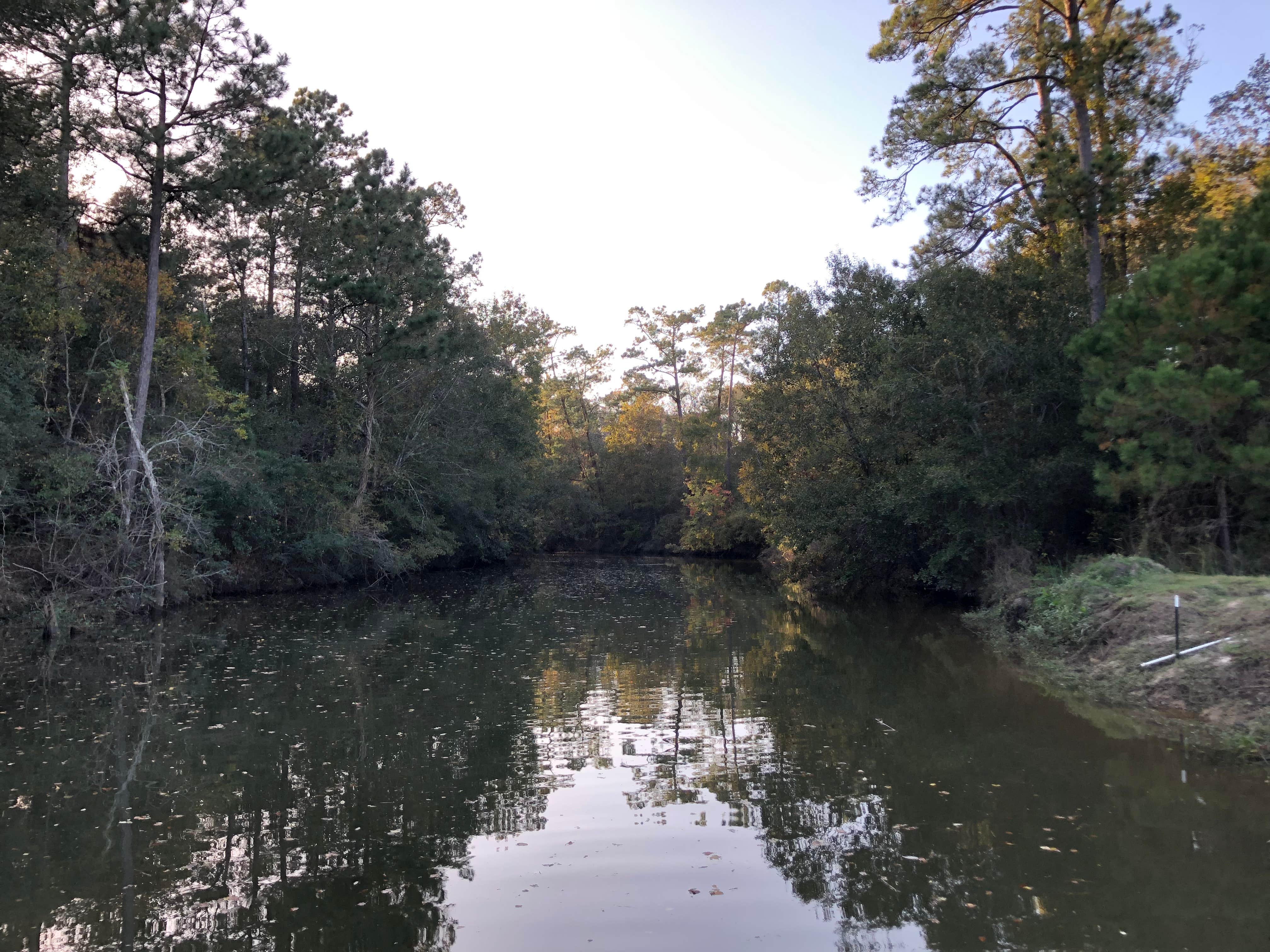 Camper-submitted photo at Double Bayou Park near Wallisville, TX