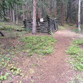 Review photo of Mueller State Park Campground by Joanne H., July 7, 2018