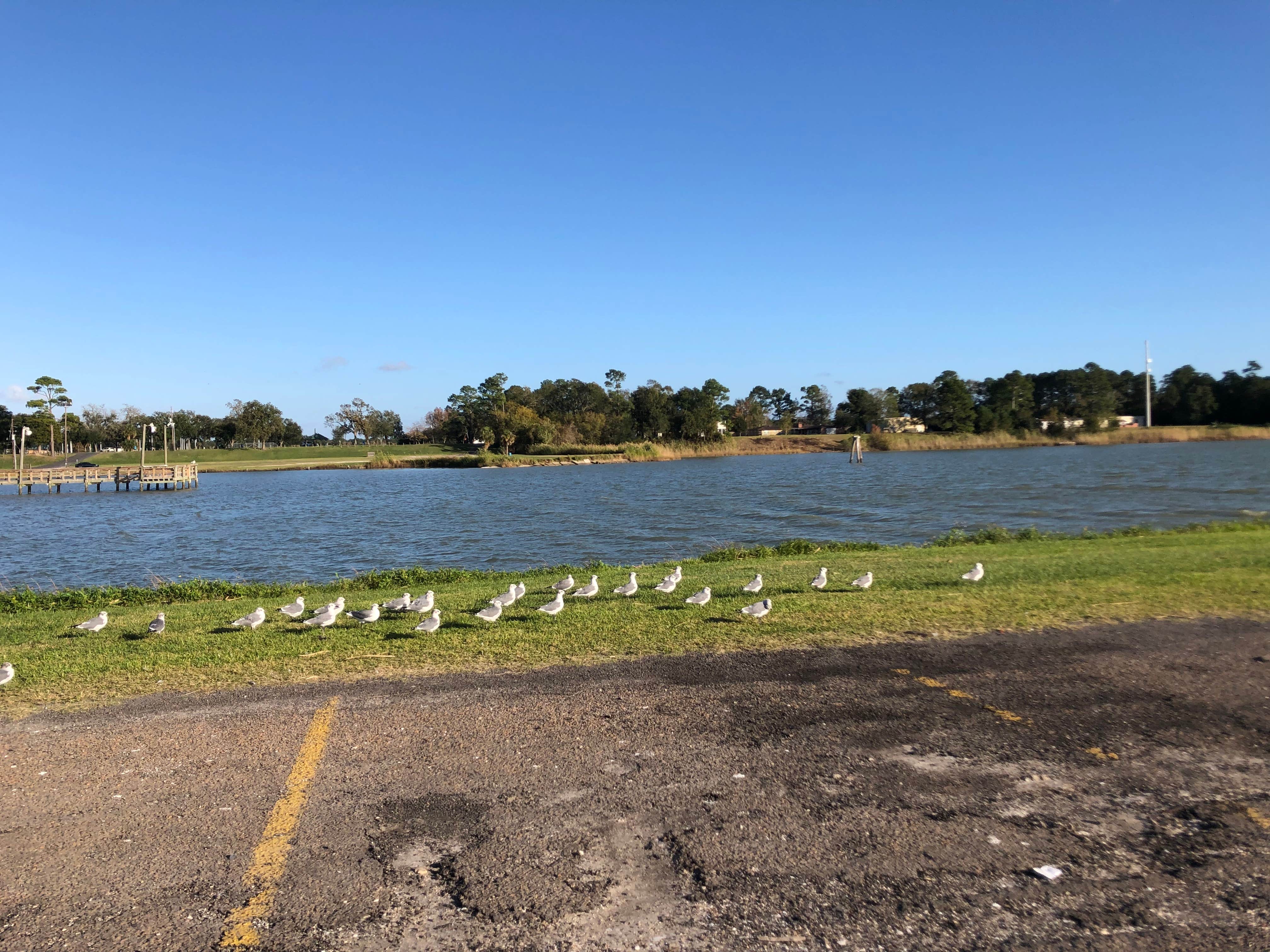 Camper submitted image from Fort Anahuac Park - 3