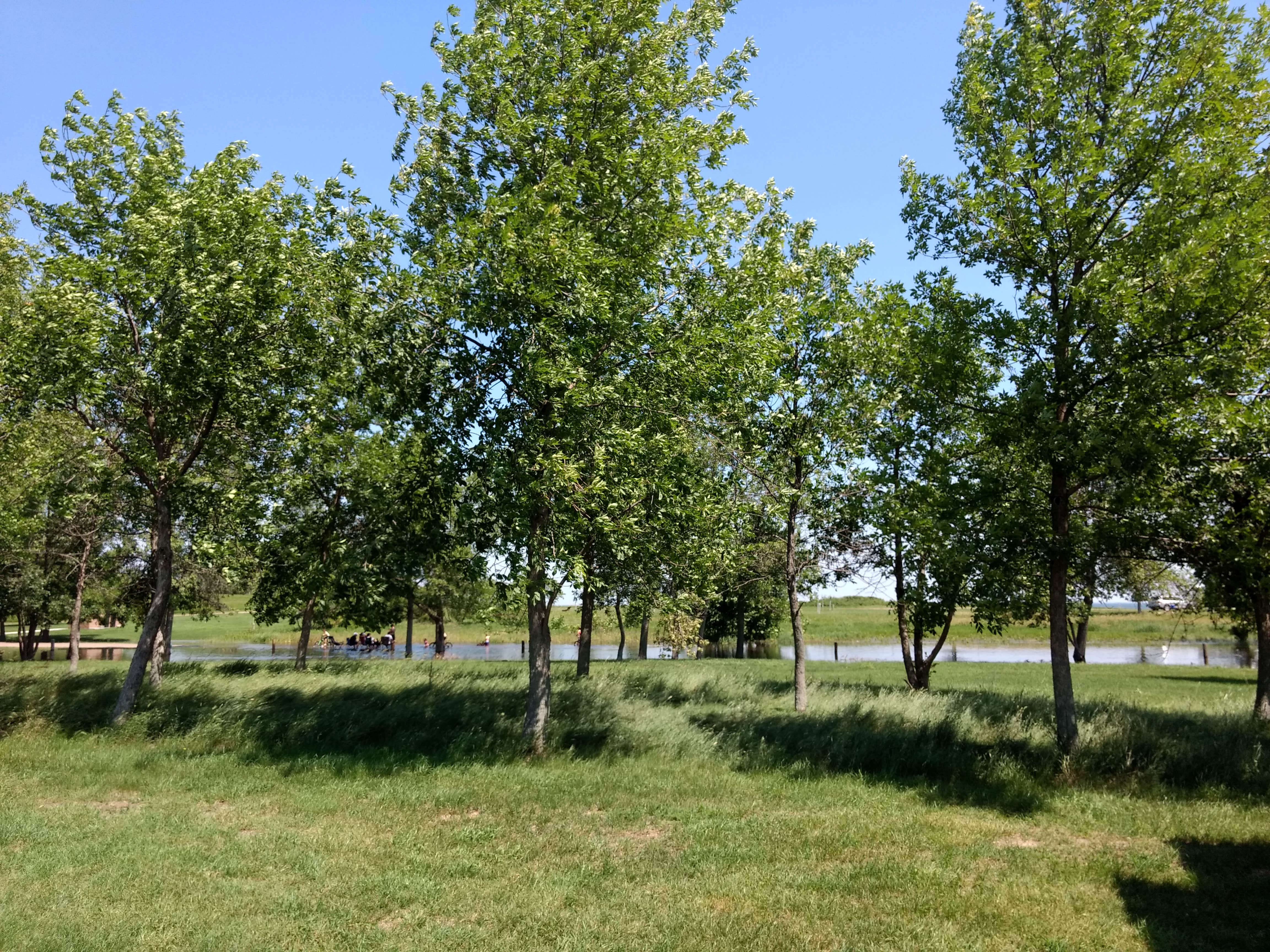 Camper-submitted photo at Lake Sakakawea State Park Campground near Washburn, ND