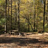 Review photo of Crystal Campground by N I., November 19, 2021