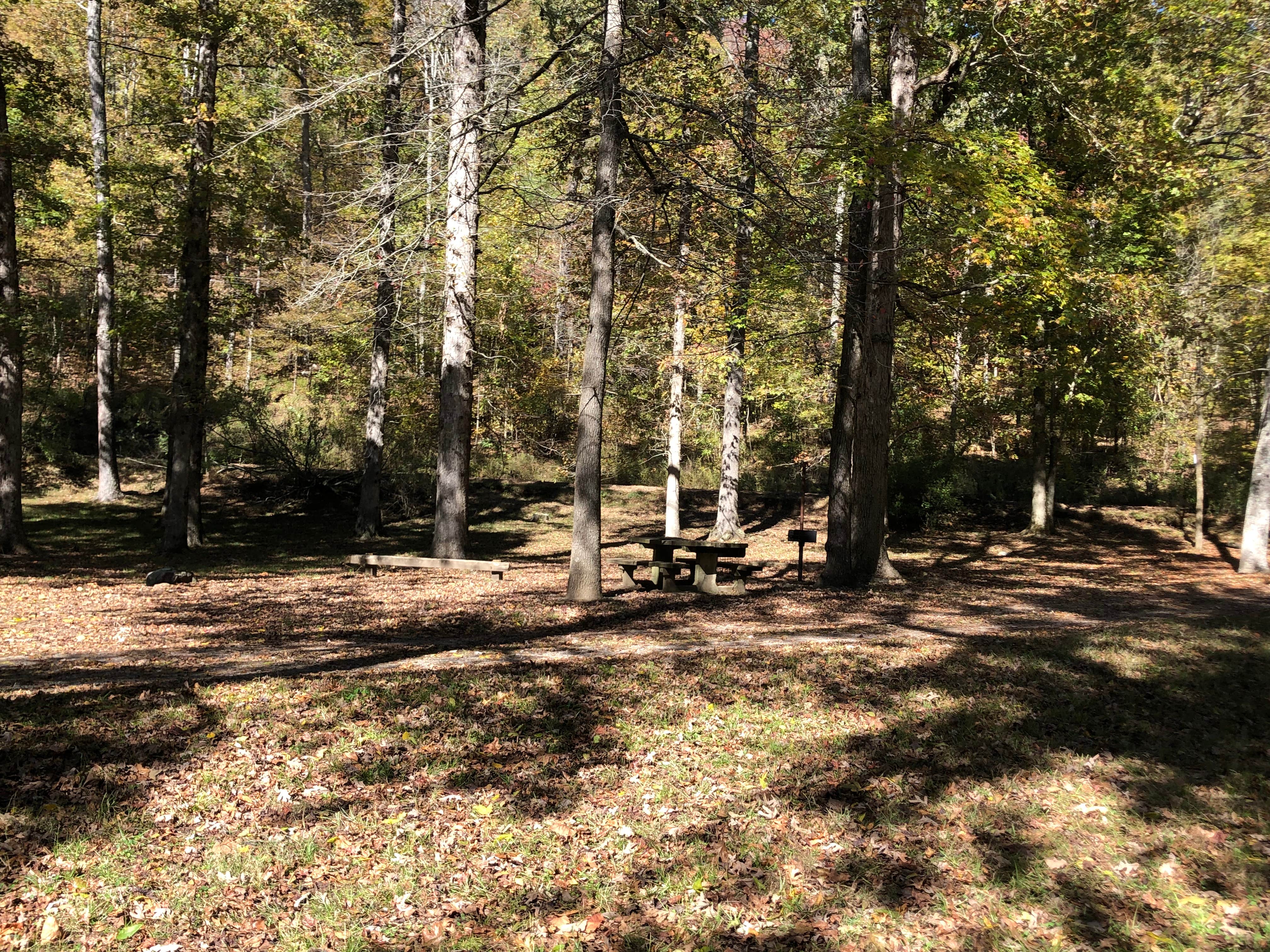 Camper-submitted photo at Crystal Campground near Oden, AR