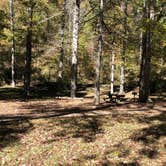 Review photo of Crystal Campground by N I., November 19, 2021