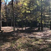 Review photo of Crystal Campground by N I., November 19, 2021