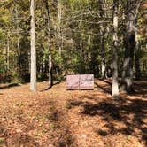 Review photo of Crystal Campground by N I., November 19, 2021