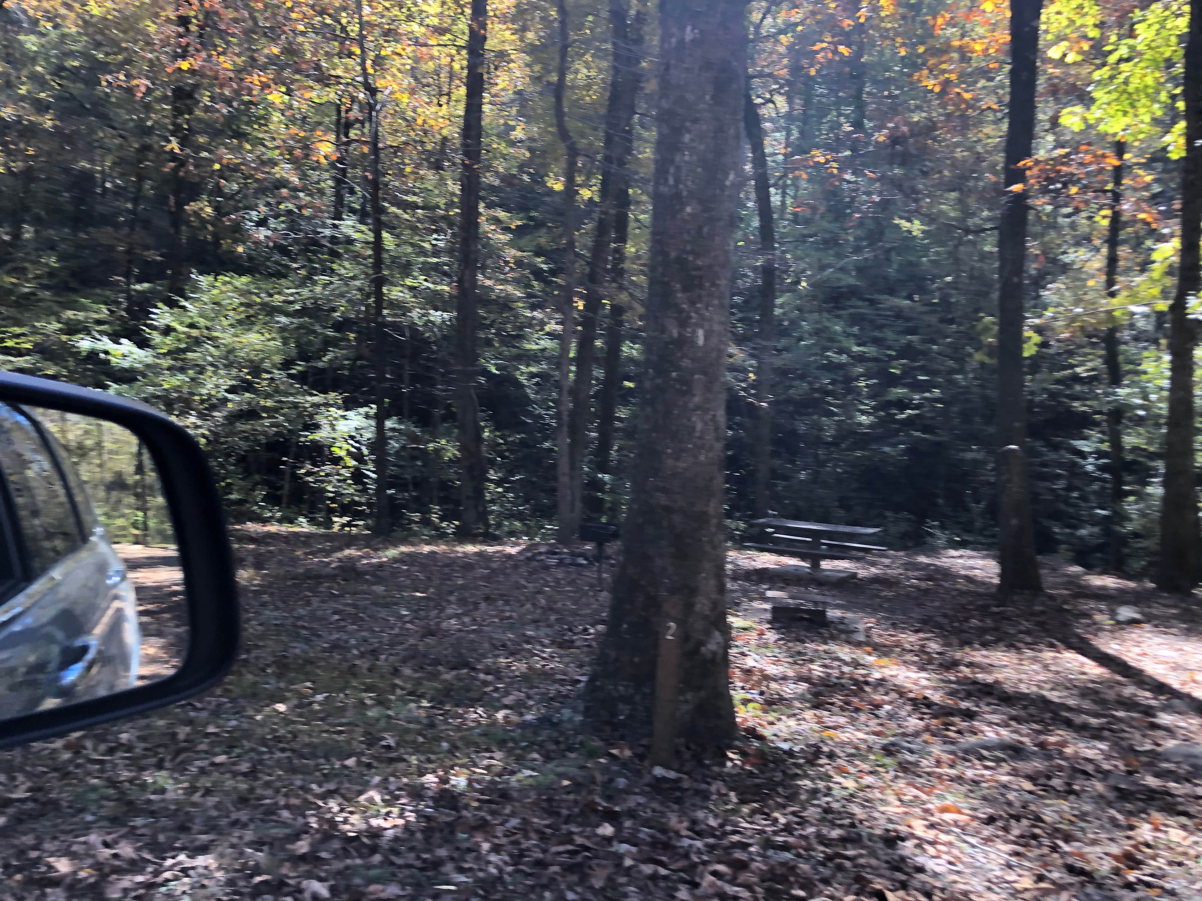 Camper-submitted photo at Crystal Campground near Oden, AR