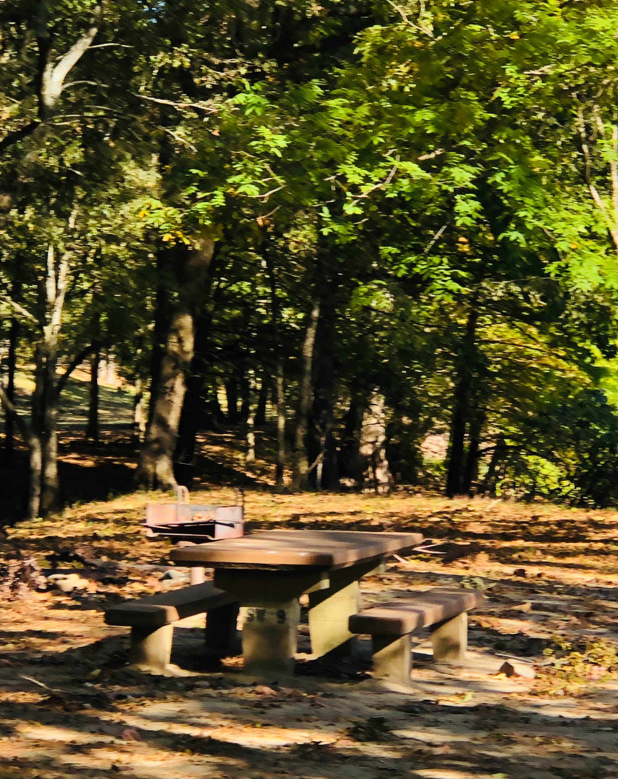 N I.'s photo at COE Lake Greeson Star of the West near Gillham Lake