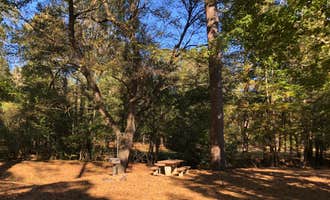 Camping near Albert Pike Recreation Area: COE Lake Greeson Star of the West, Langley, Arkansas