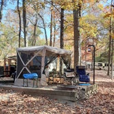 Review photo of Andrew Jackson State Park Campground by Steven B., November 19, 2021