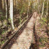 Review photo of Andrew Jackson State Park Campground by Steven B., November 19, 2021