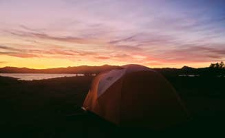 Karen D.'s photo at Alamo Lake State Park Campground near Wenden, AZ
