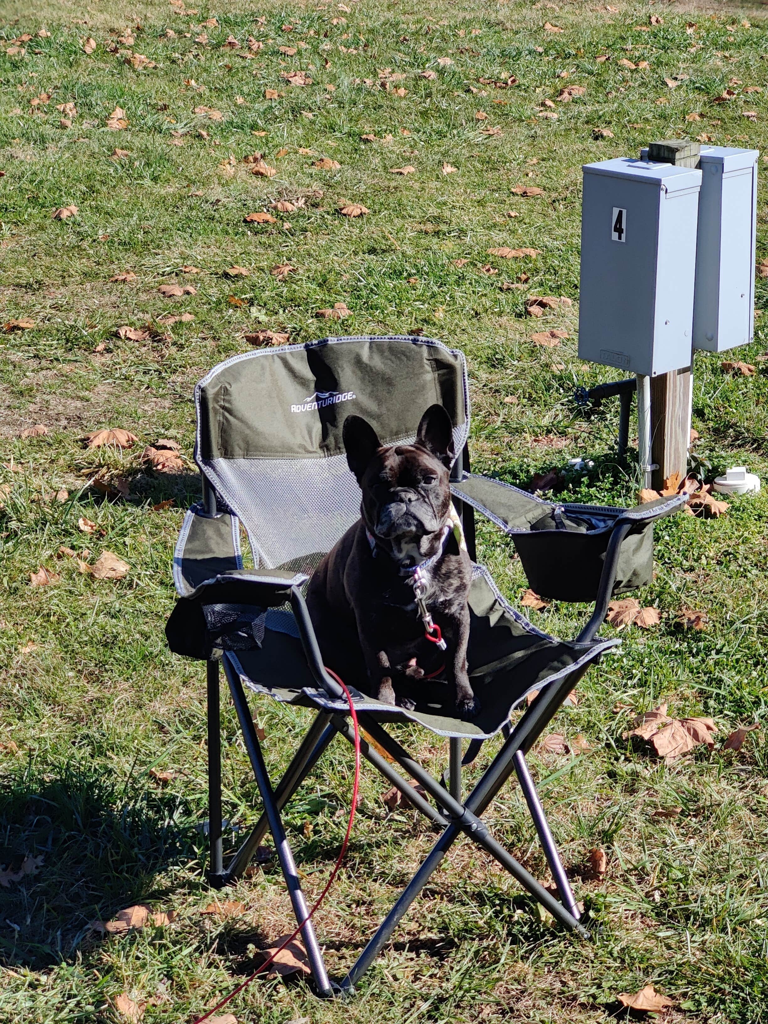 Camper-submitted photo at Thunder Mountain Campground near John W. Flannagan Dam and Reservoir