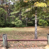 Review photo of Kisatchie National Forest Boy Scout Camp by N I., November 19, 2021