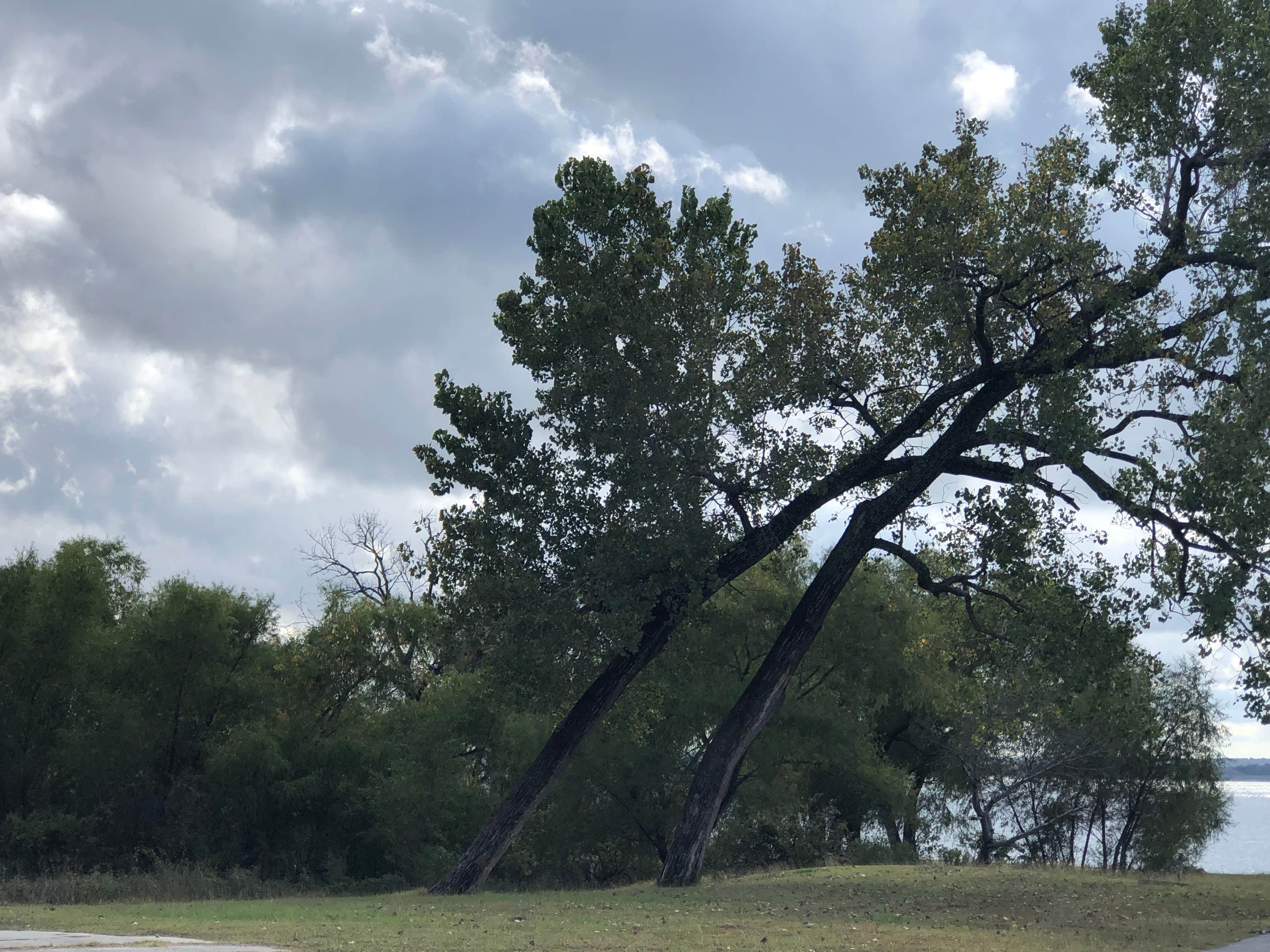Camper-submitted photo at Burns Run East Campground near Denison, TX