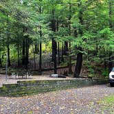 Review photo of Black Mountain Campground - CLOSED INDEFINITELY by Mea H., November 20, 2021