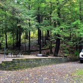Review photo of Black Mountain Campground by Mea H., November 20, 2021