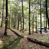 Review photo of Black Mountain Campground - CLOSED INDEFINITELY by Mea H., November 20, 2021