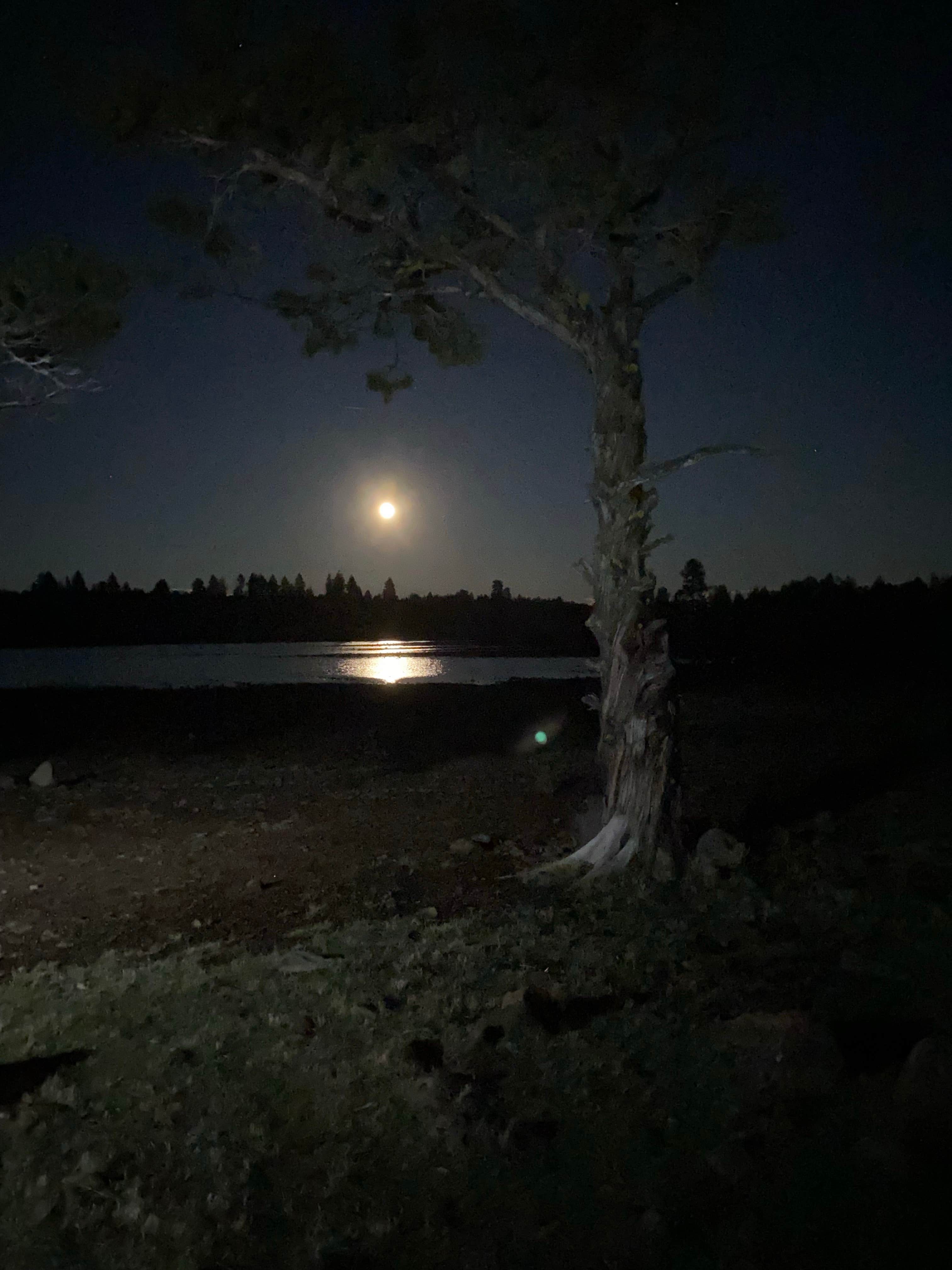 Camper-submitted photo at Duncan Reservoir South Site near Modoc National Forest