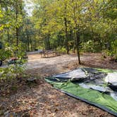 Review photo of Starved Rock Campground — Starved Rock State Park by Kristen B., November 20, 2021