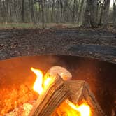 Review photo of Starved Rock Campground — Starved Rock State Park by Kristen B., November 20, 2021