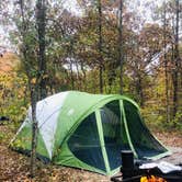 Review photo of Starved Rock Campground — Starved Rock State Park by Kristen B., November 20, 2021