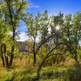 Review photo of Hackberry Campground — Palo Duro Canyon State Park by Brian F., November 20, 2021