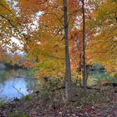 Review photo of Alum Creek State Park Campground by Andrea F., November 20, 2021