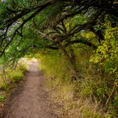 Review photo of Dinosaur Valley State Park — Dinosaur Valley State Park by Brian F., November 20, 2021