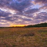 Review photo of Dinosaur Valley State Park — Dinosaur Valley State Park by Brian F., November 20, 2021