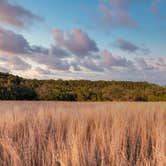 Review photo of Dinosaur Valley State Park — Dinosaur Valley State Park by Brian F., November 20, 2021