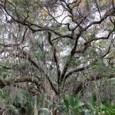 Review photo of Atlantic Beach Campground — Fort Clinch State Park by kcki M., November 20, 2021